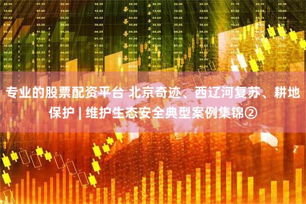 专业的股票配资平台 北京奇迹、西辽河复苏、耕地保护 | 维护生态安全典型案例集锦②